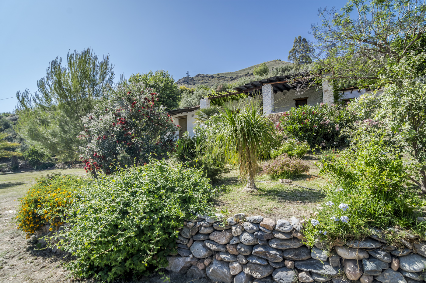 Jardines mediterráneos